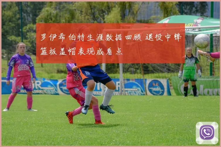 罗伊希伯特生涯数据回顾 退役中锋篮板盖帽表现成看点