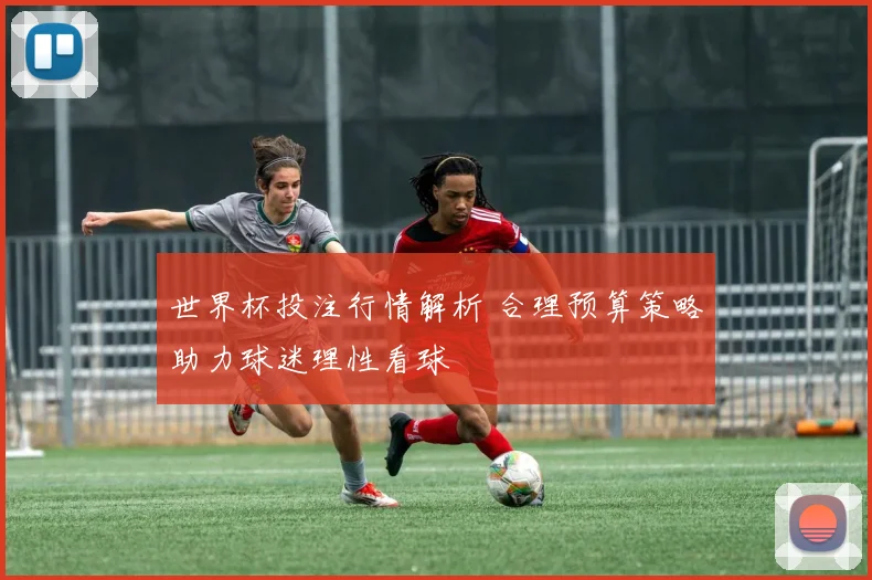 世界杯投注行情解析 合理预算策略助力球迷理性看球