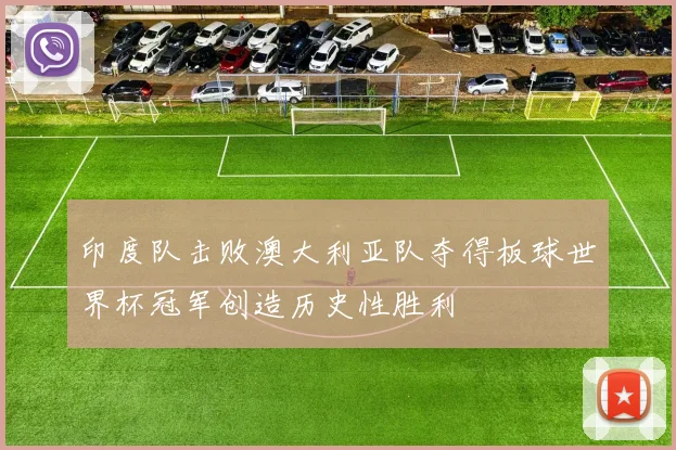 印度队击败澳大利亚队夺得板球世界杯冠军创造历史性胜利