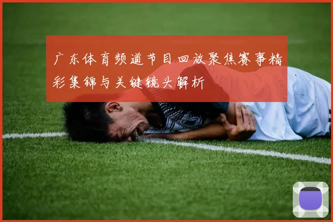 广东体育频道节目回放聚焦赛事精彩集锦与关键镜头解析