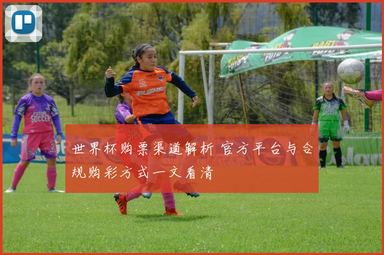 世界杯购票渠道解析 官方平台与合规购彩方式一文看清