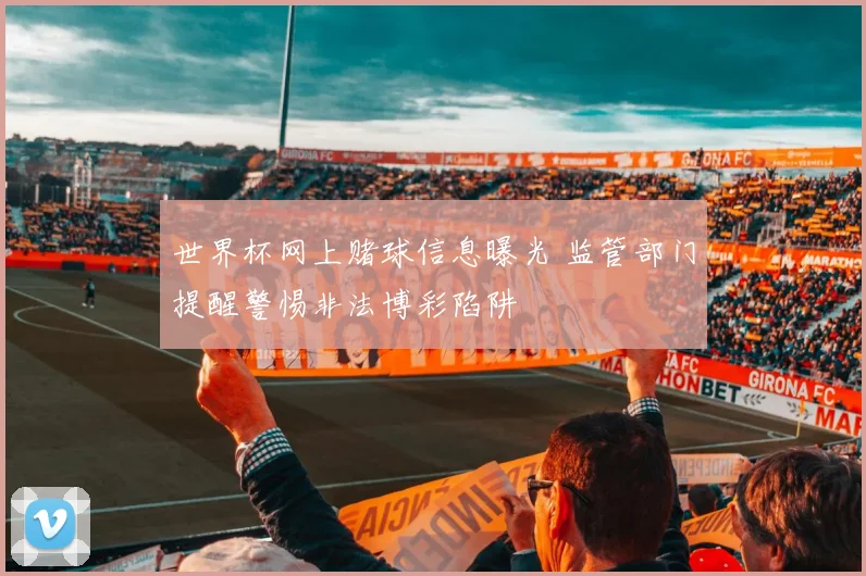 世界杯网上赌球信息曝光 监管部门提醒警惕非法博彩陷阱